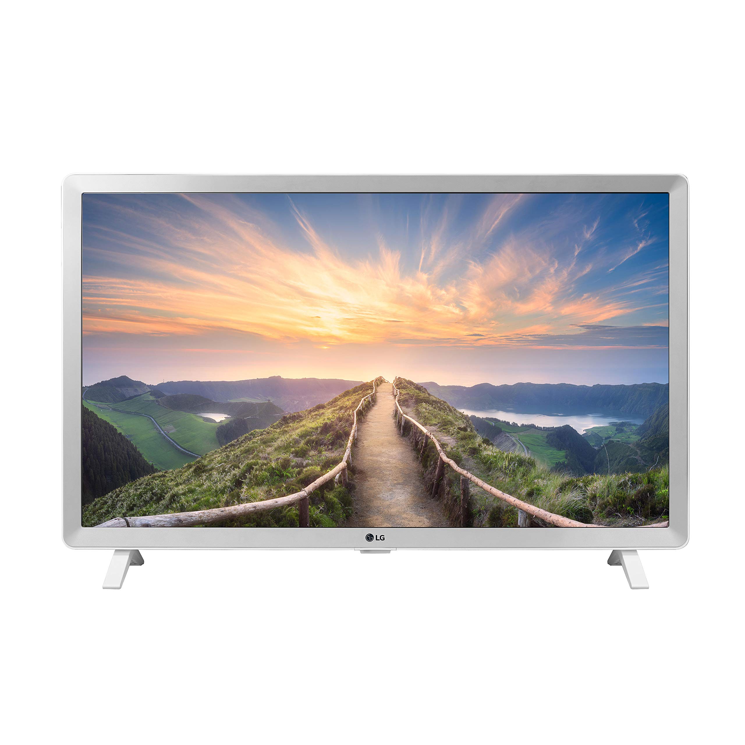 LG 24吋高畫質智慧電視（24LM520S-WU，2022年款）