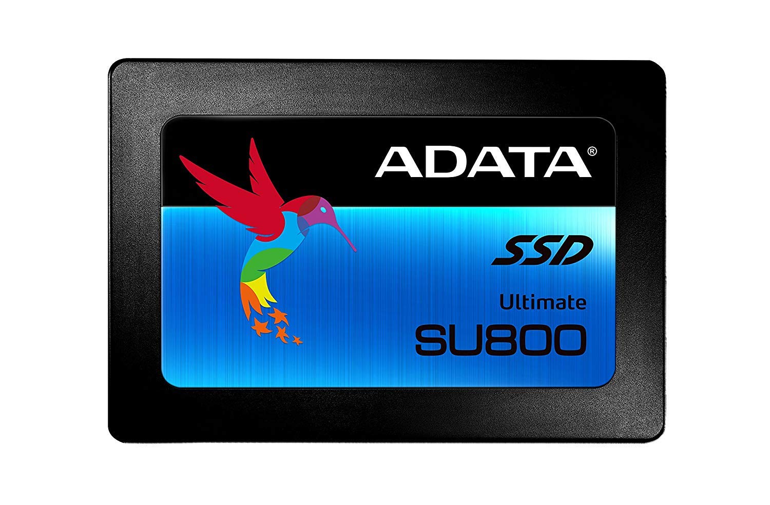 Adata SU800 512GB 3D TLC 固態硬碟