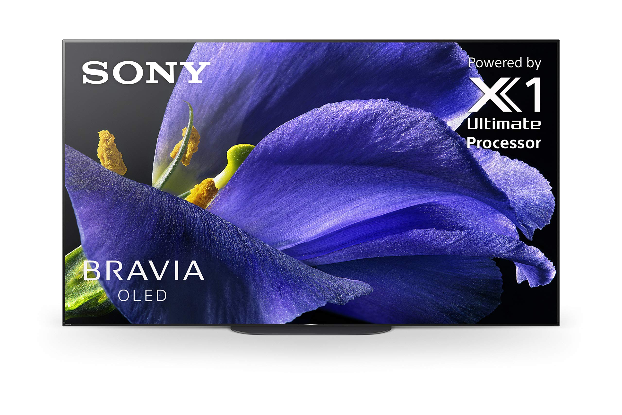 Sony XBR-55A9G 55 吋電視：MASTER 系列 BRAVIA OLED 4K 超高清智慧電視，支援 HDR 和 Alexa 語音助理 - 2019 年